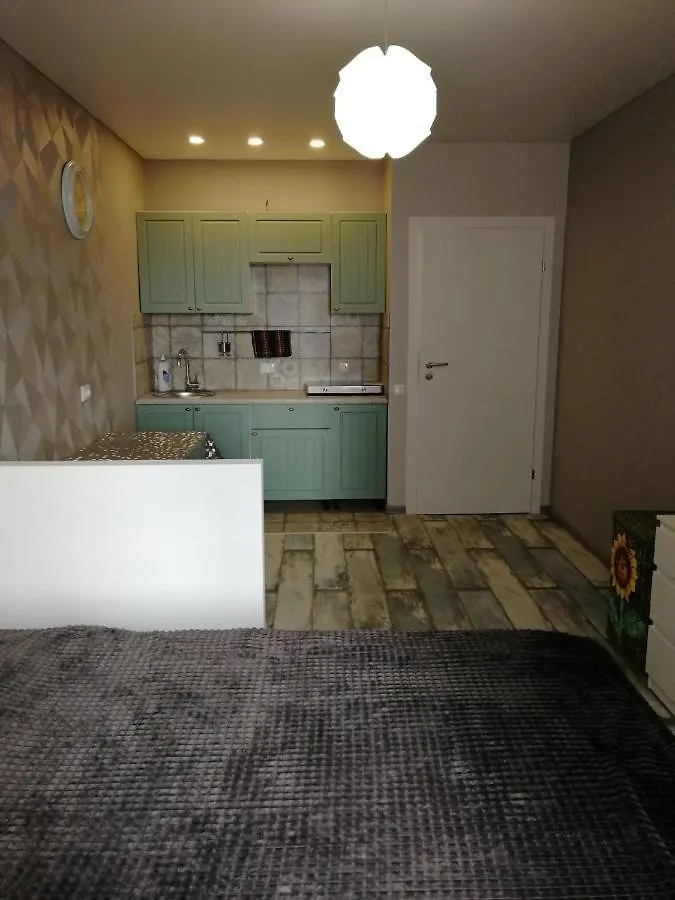 Hertsen Park Apartments - Kyiv City Center 0*,  Ukrajina