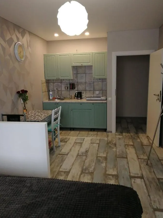 Hertsen Park Apartments - Kyiv City Center 0*,